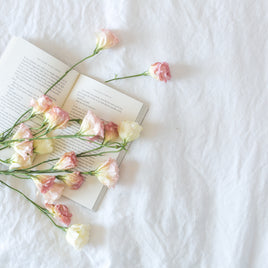 Pauzz
– Pauzz France